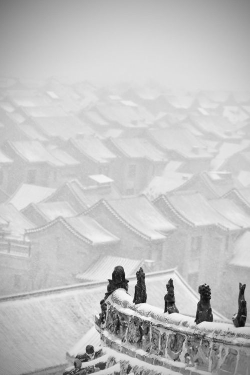 摄影名家李超作品欣赏 风雪行中的文艺创作